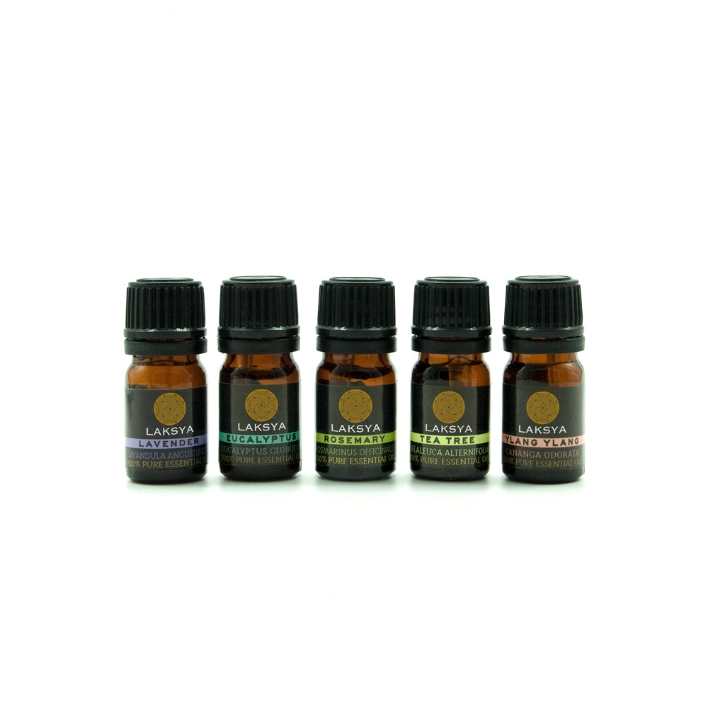 The Aromatherapy Experience: 5 Pure Essential Oils